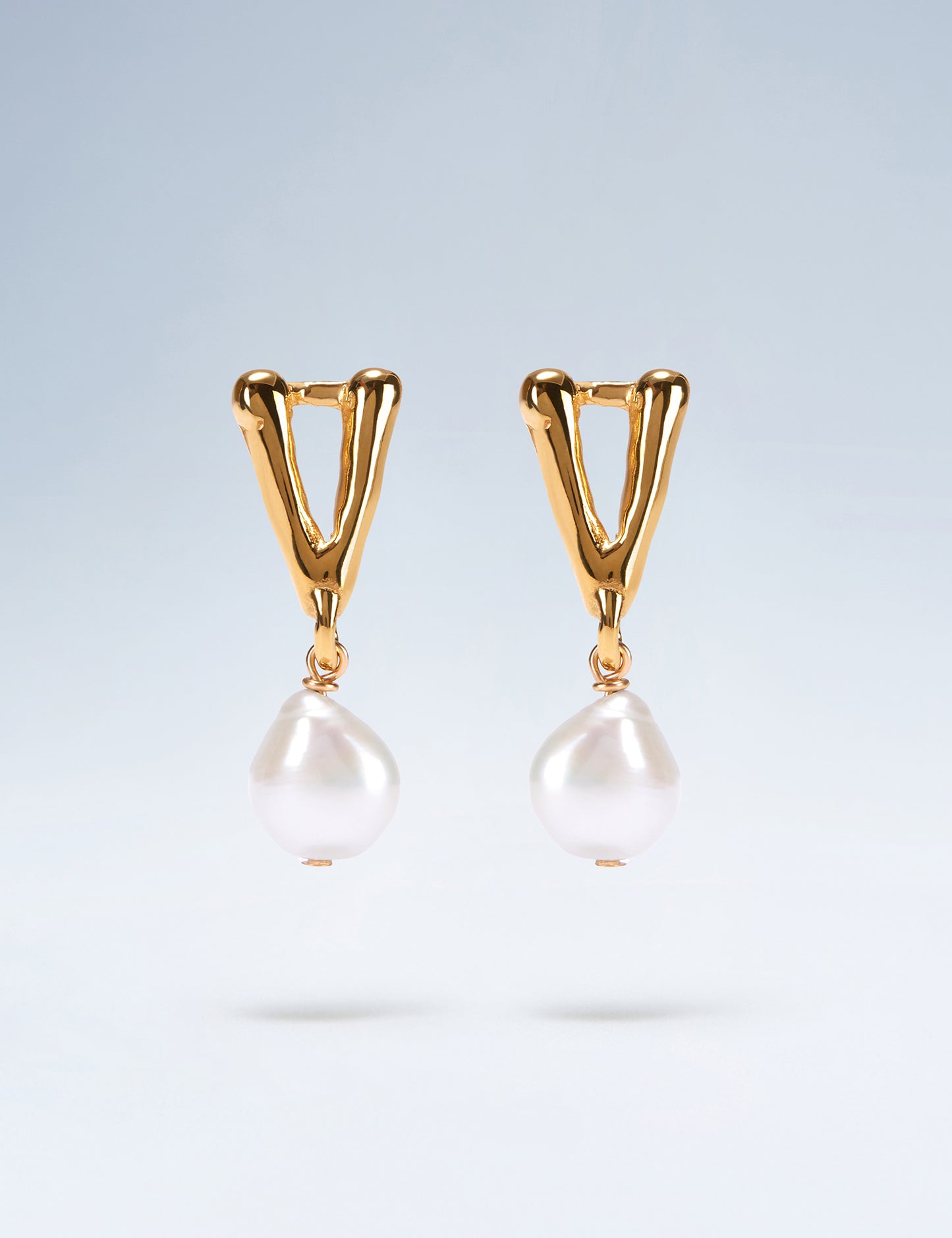V ~ Identity Earrings