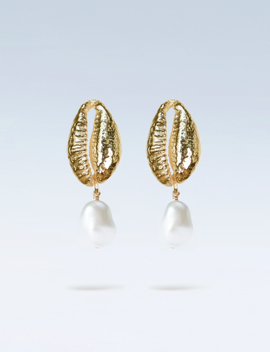 Shell Earrings